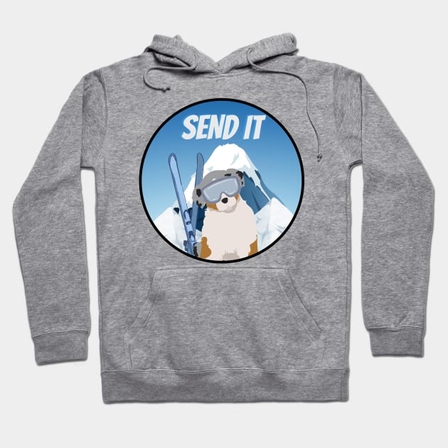 Send It Skiing Dog Hoodie by alvarsprints